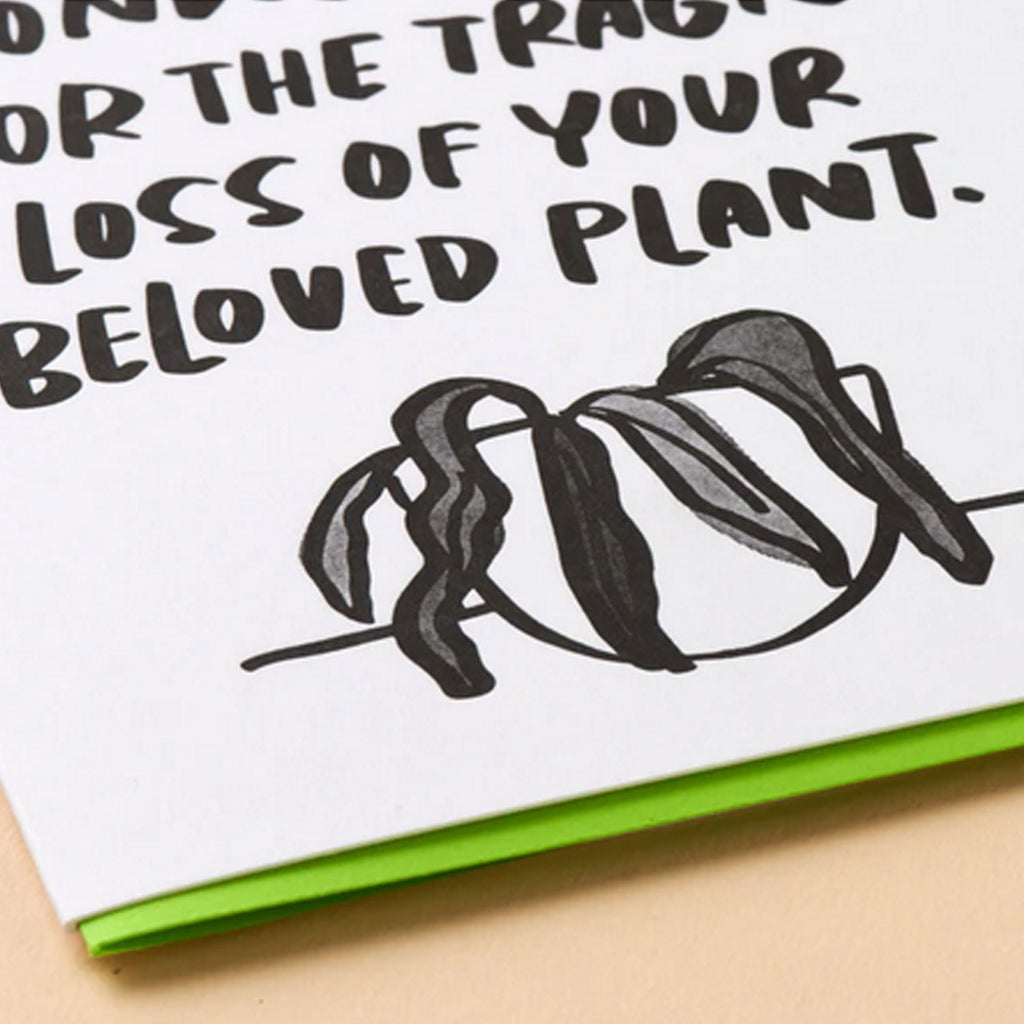 And Here We Are Just Because / Friendship Card | Dead Plant