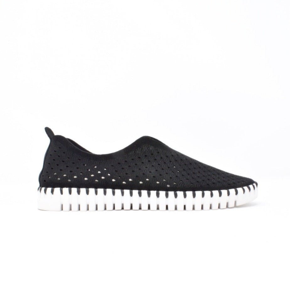 Ilse Jacobsen - Tulip Kicks - Black