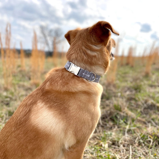 The Oxford Dog Dog Collar | Grey Arrows, Handmade