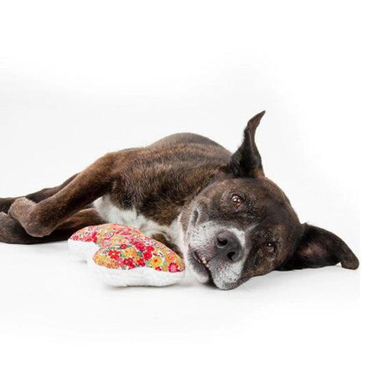 Modern Beast Lavender Zenbone | Dog Toy, 100% Cotton