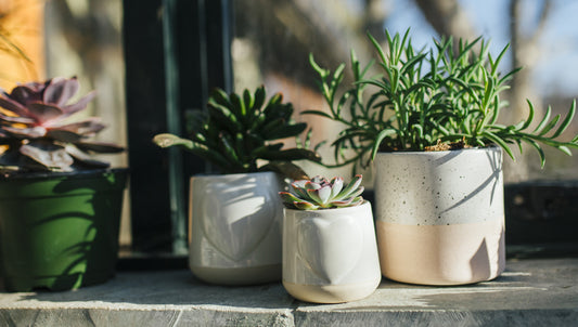 Break out your green thumb!