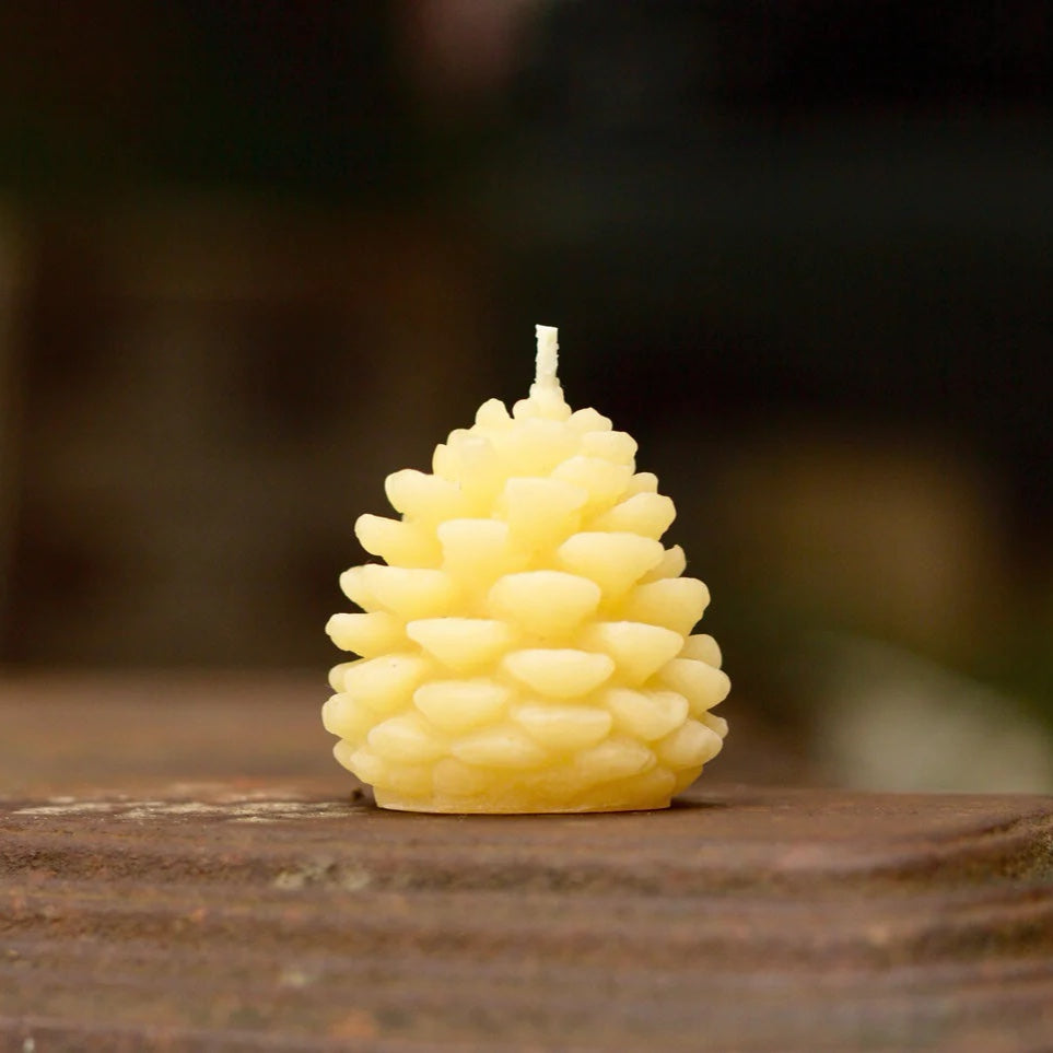 Bees Wax Works | Wee Pine Cone Candles, Made on Vancouver Island