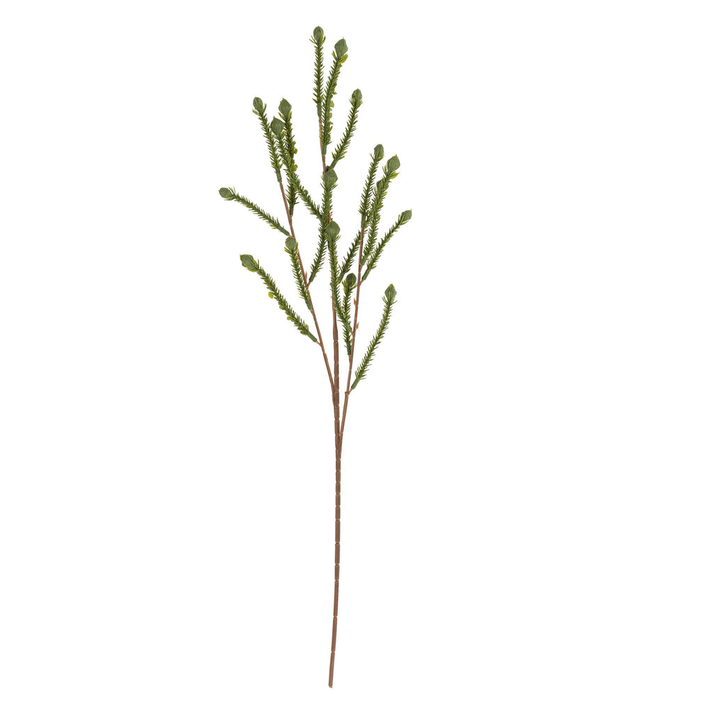 Cypress Sprig | Holiday Decor