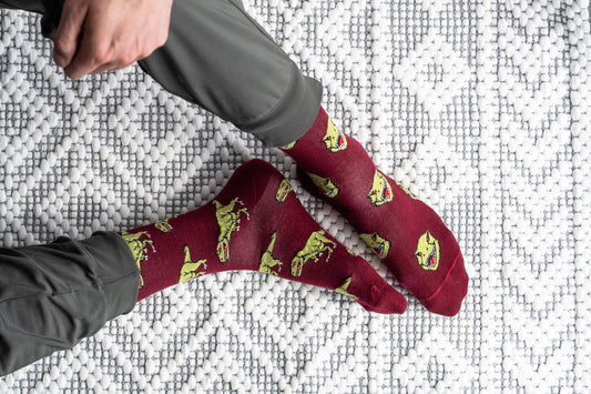 Men's Mismatched Socks - Dino
