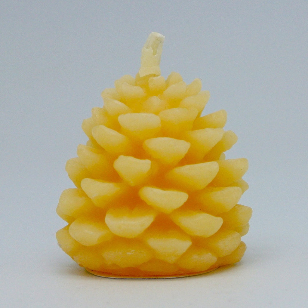 beeswax cone candles at twang and pearl