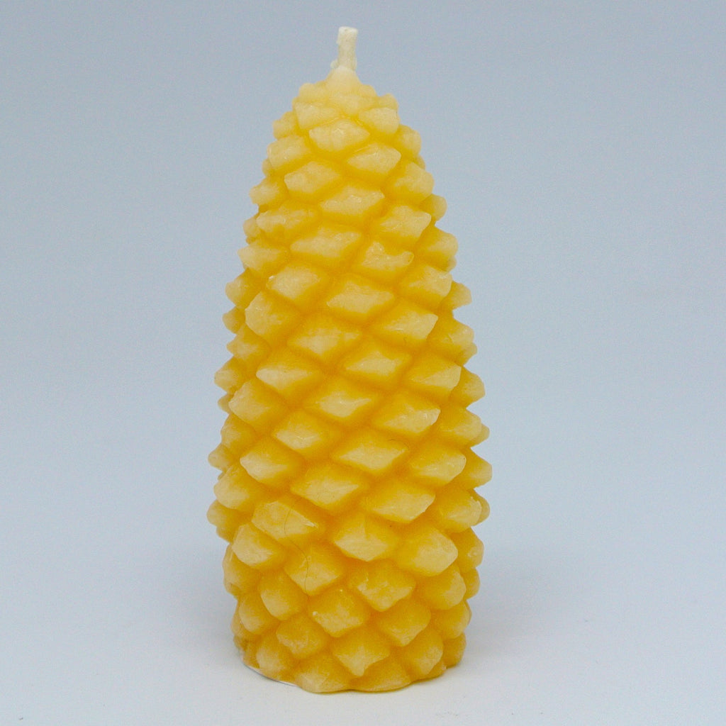 beeswax cone candles at twang and pearl