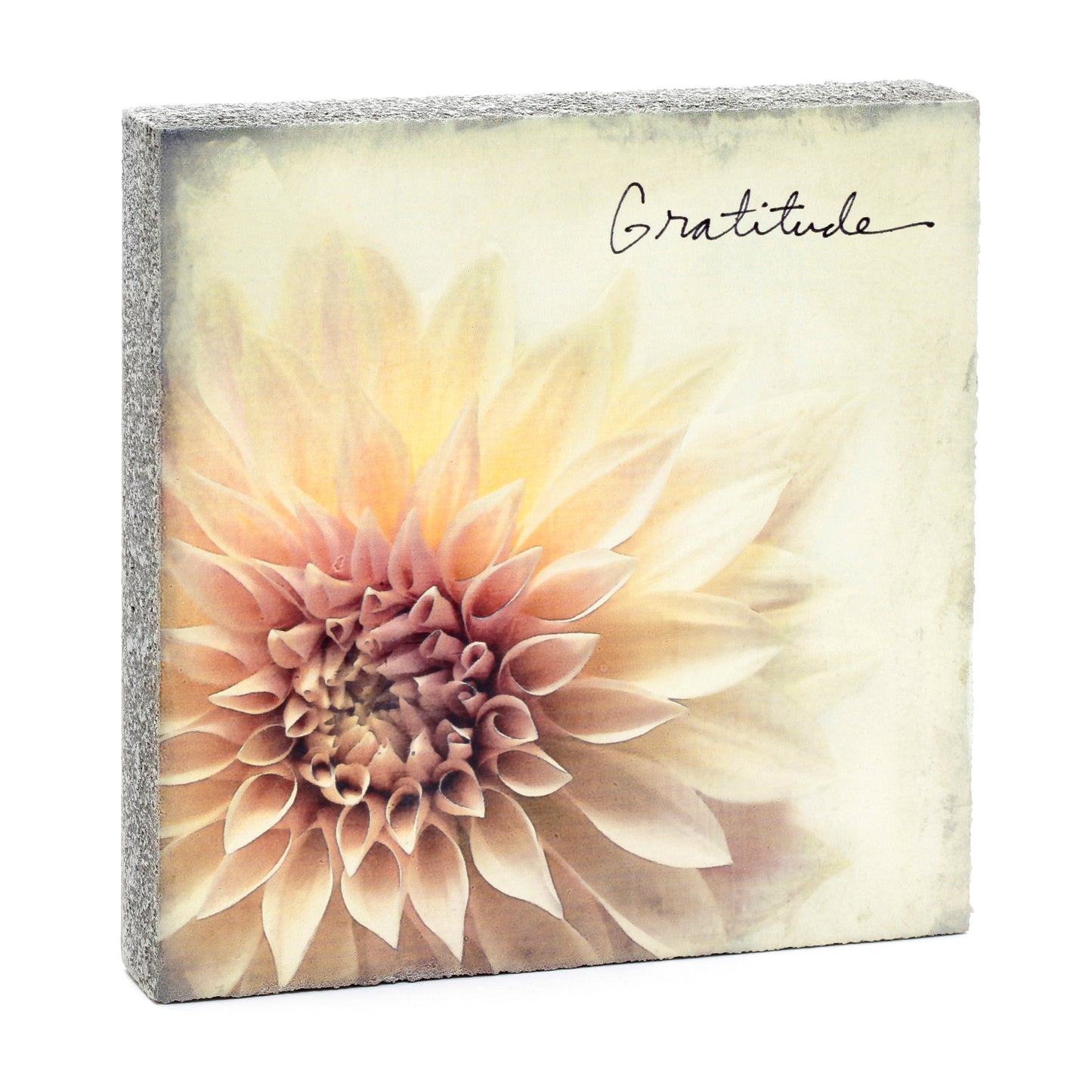 Shelf & Wall Art | Handmade Blocks, Cedar Mountain Studios