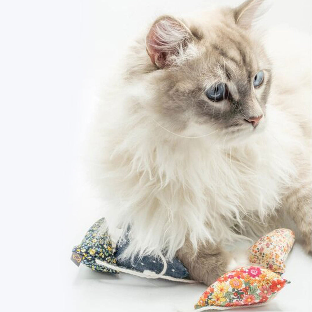 Modern Beast Adventure Mouse | Cat Toy, 100% Organic Catnip