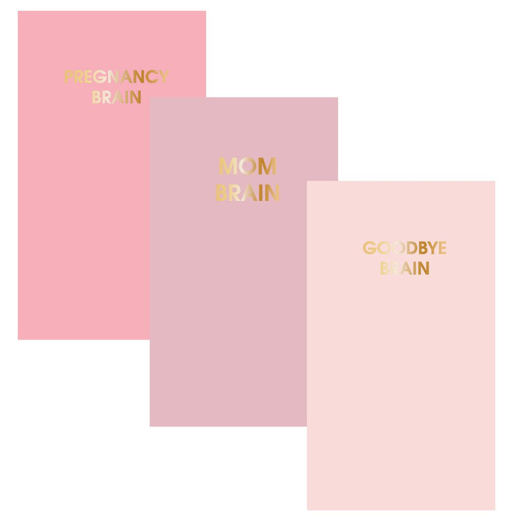 Chez Gagne Mini Journals Mom Brain