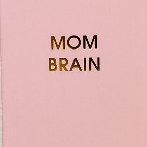 Chez Gagne Mini Journals Mom Brain