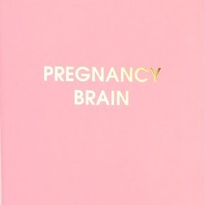 Chez Gagne Mini Journals Pregnancy Brain