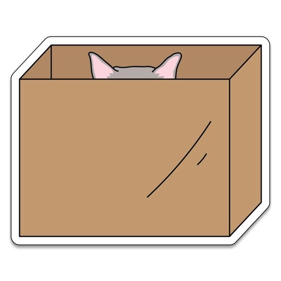 Near Modern Disaster | Vinyl Sticker, Cat in Box, Made in the USA