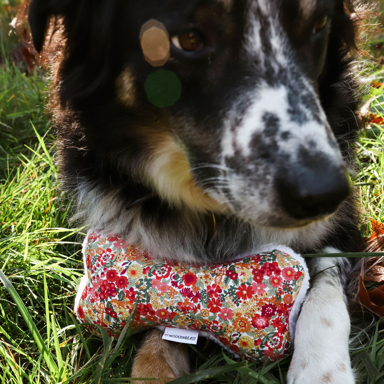 Modern Beast Lavender Zenbone | Dog Toy, 100% Cotton