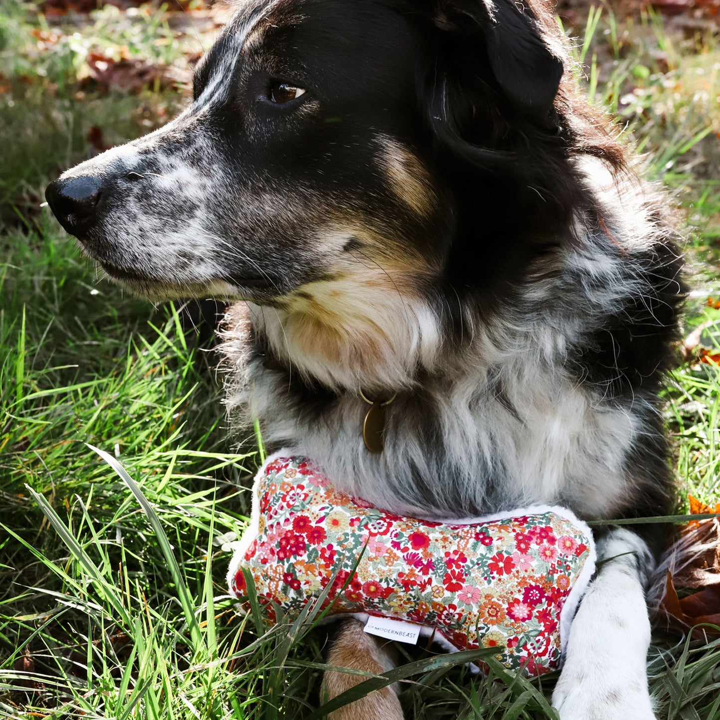Modern Beast Lavender Zenbone | Dog Toy, 100% Cotton