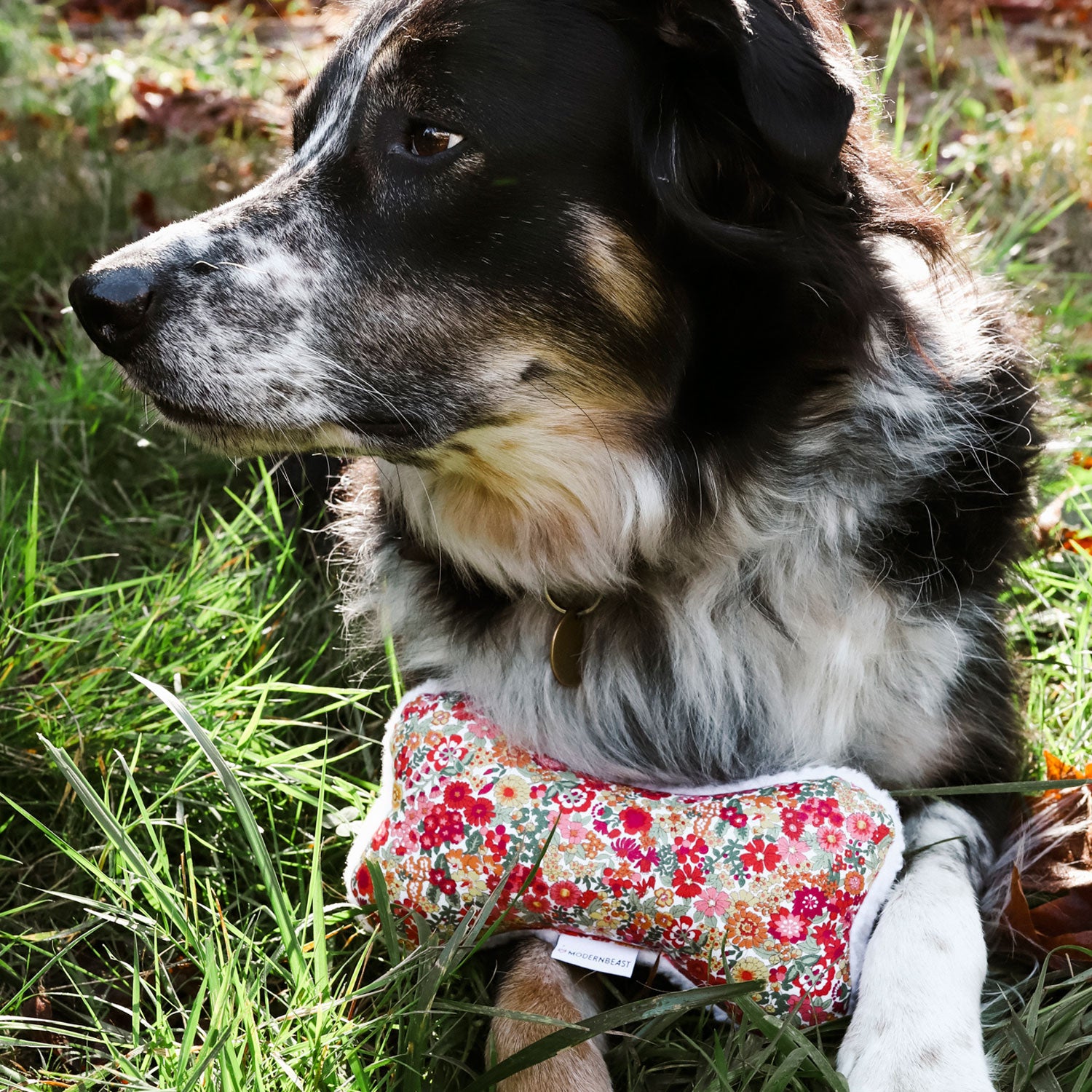 Modern Beast Lavender Zenbone | Dog Toy, 100% Cotton