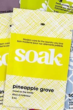 Soak - Minisoak - Assorted Scents